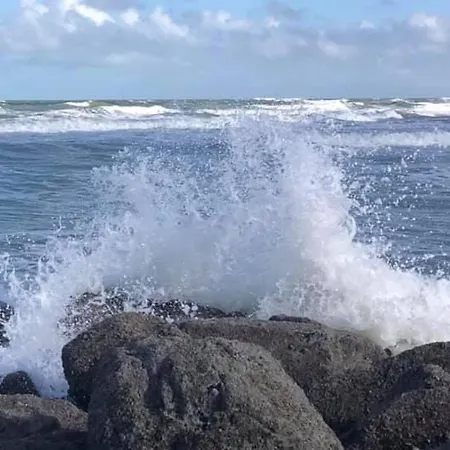 Daire Prive-kamer Centrum Met Eigen Badkamer/wc